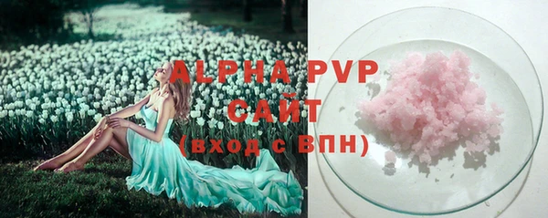 прущие грибы Россошь