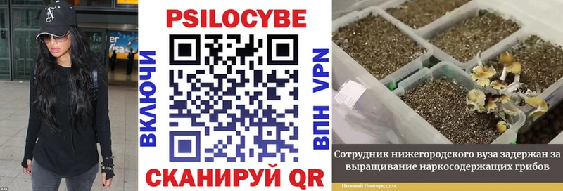 цена наркотик  Белозерск  Псилоцибиновые грибы ЛСД 